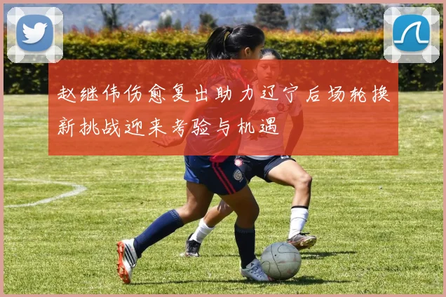 赵继伟伤愈复出助力辽宁后场轮换新挑战迎来考验与机遇