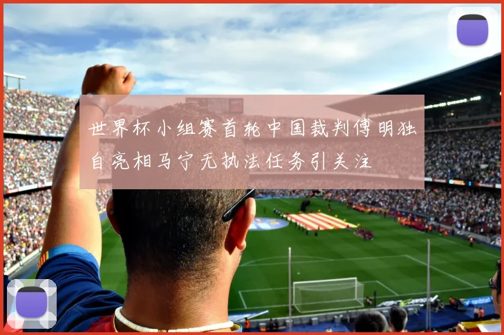 世界杯小组赛首轮中国裁判傅明独自亮相马宁无执法任务引关注